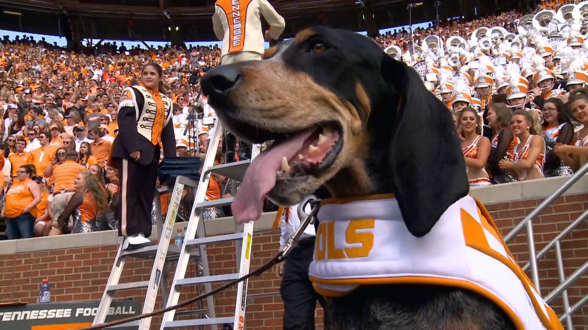 Smokey Won T Be The Only Beloved Tradition Missing In Neyland Stadium