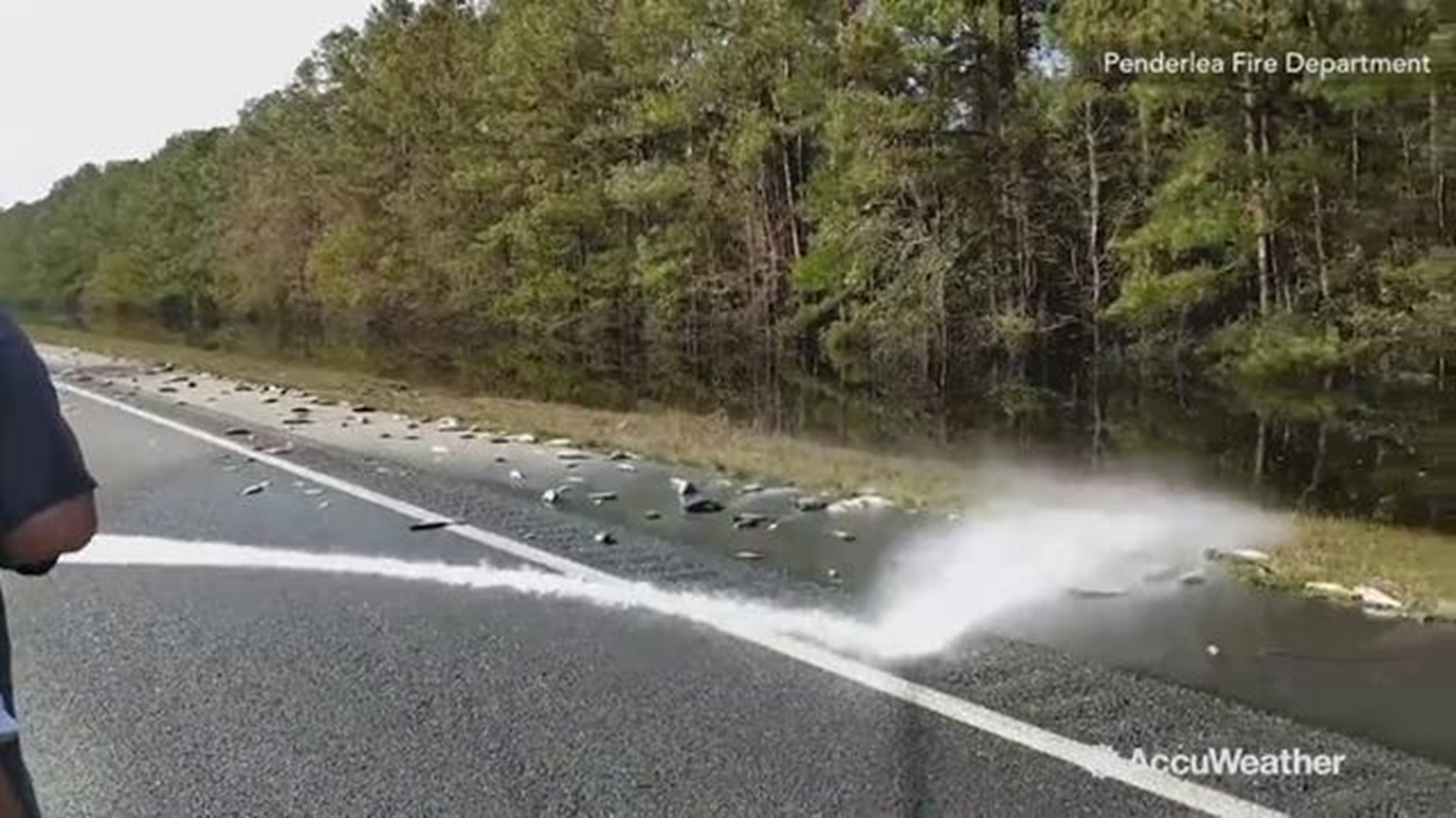 Firefighters along Interstate-40 near Wallace, North Carolina were forced to use hoses to clear out dead fish that were left behind from Hurricane Florence's floodwaters.  The floodwaters were so high that the fish were able to travel far from their natur