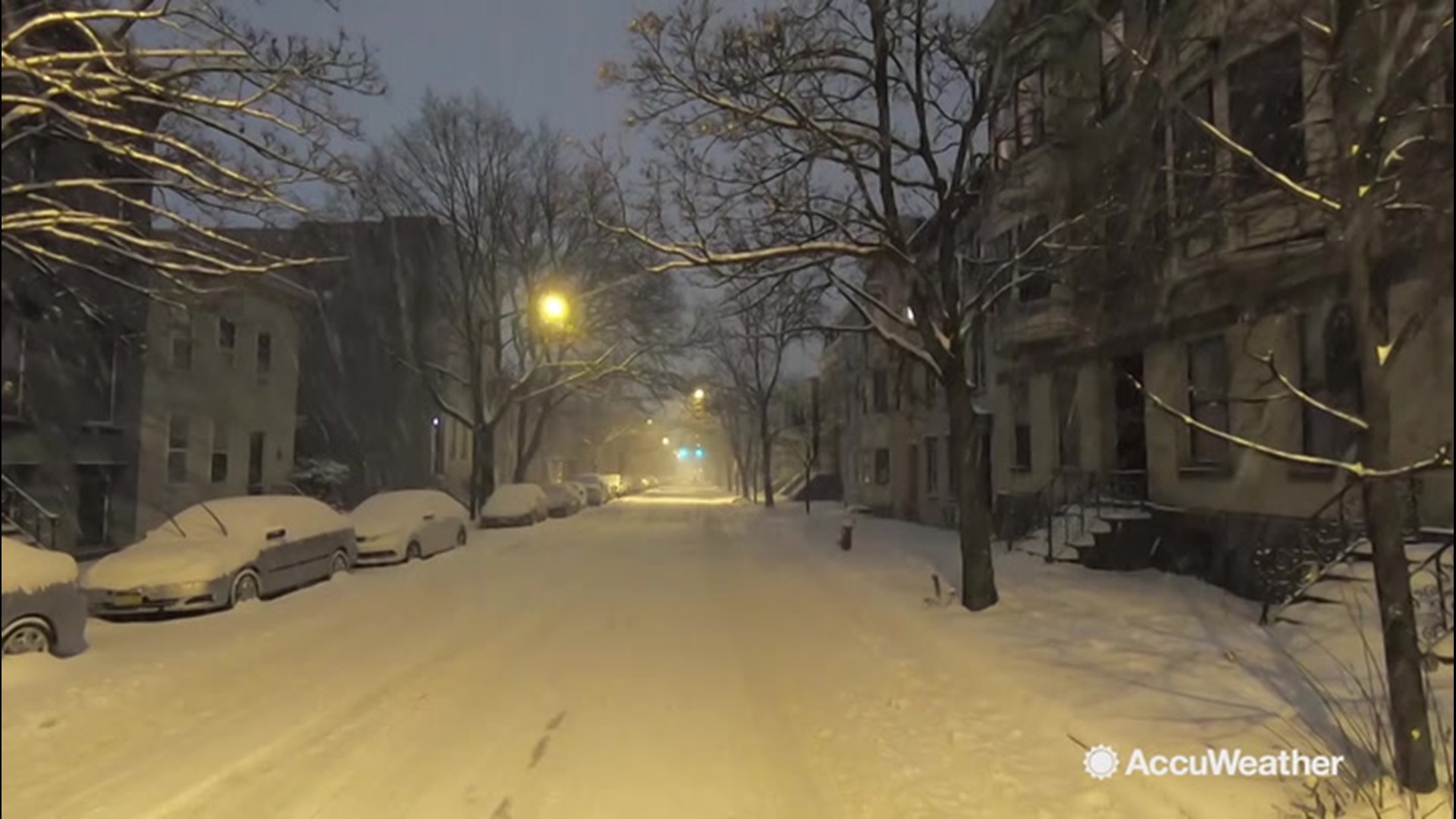 Snowstorm albany ny 