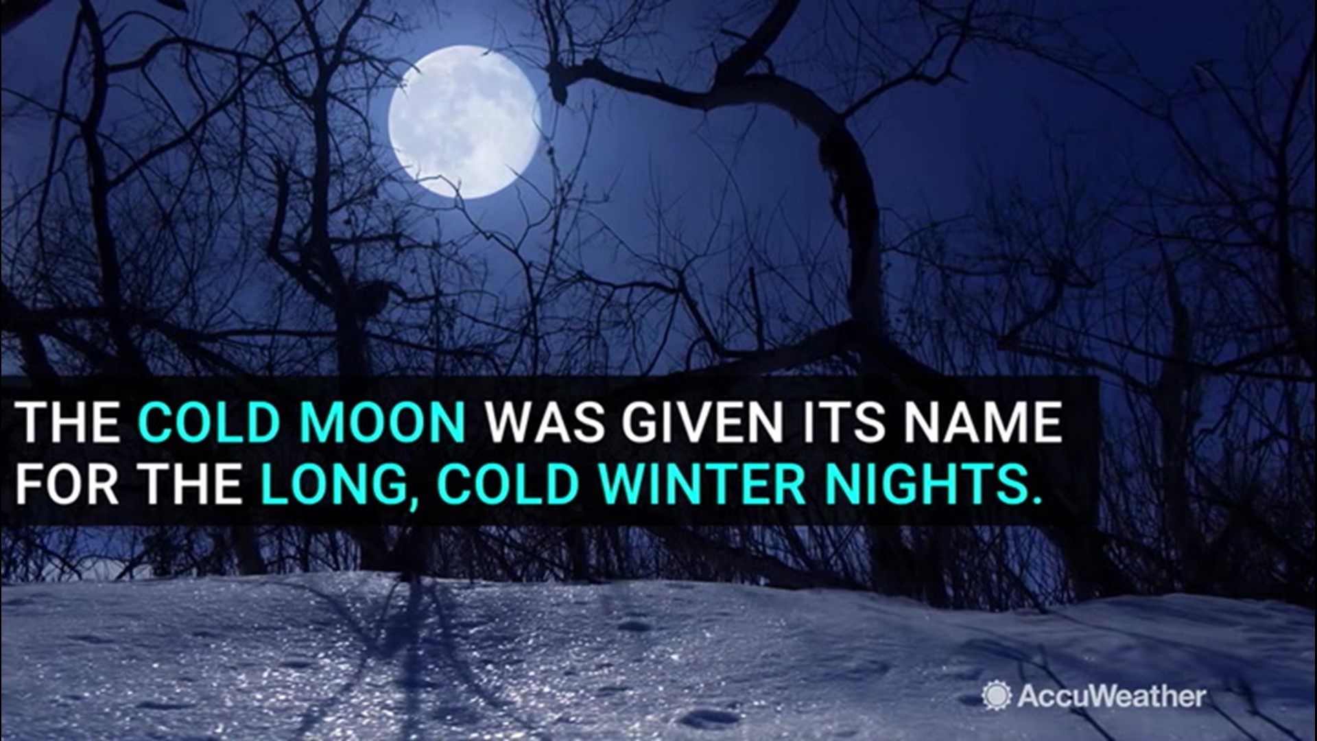 The Cold Moon on Dec. 12 will be the last full moon of the decade. Be sure to bundle up for the cold and catch a glance at the moon on this night.
