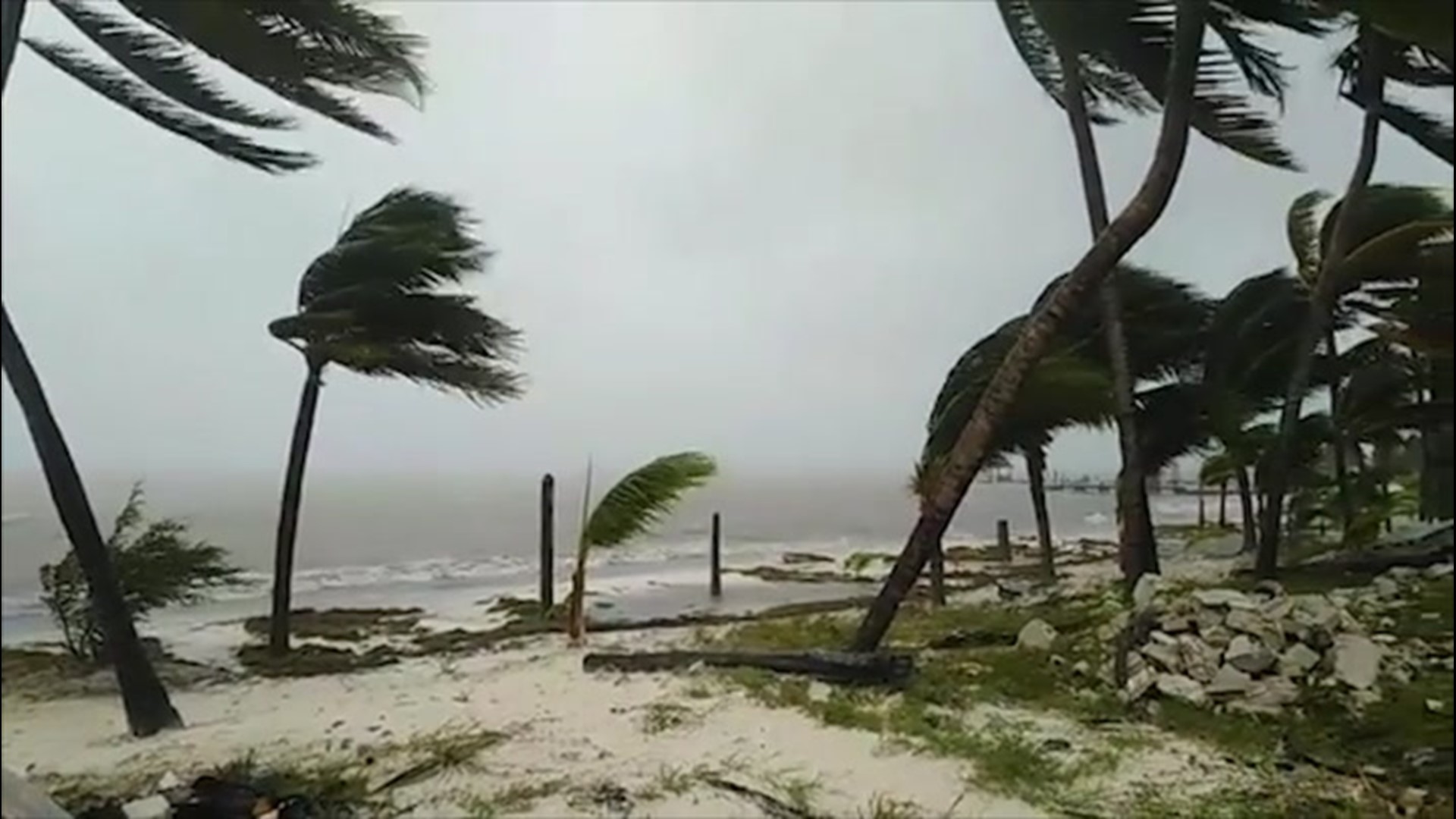 Hurricane Delta Now Leaving Yucatán Coast, Could Hit Gulf Coast As Major  Storm