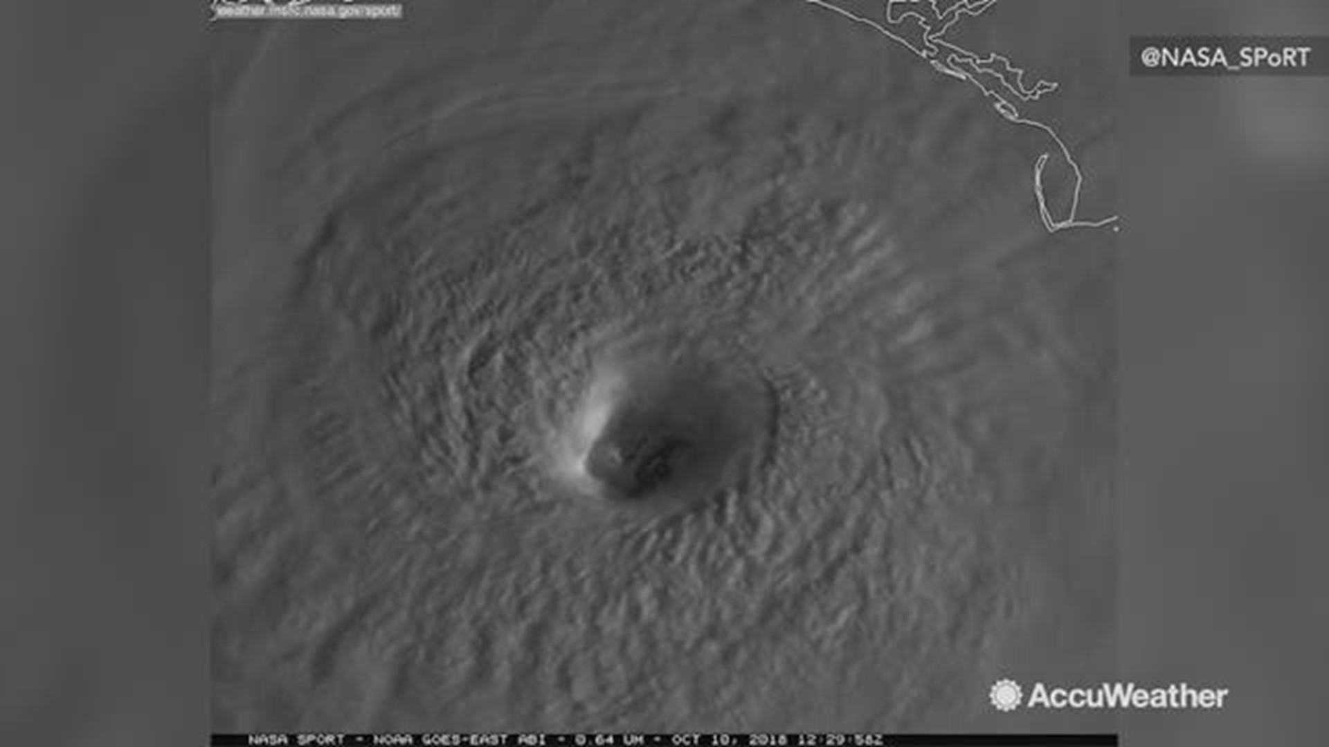 Satellite image shows Hurricane Michael as it edges towards the Florida Panhandle.