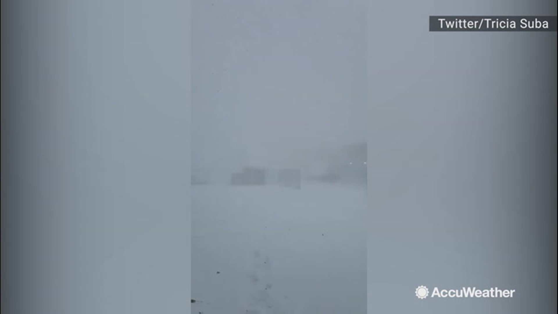 Blowing snow can be seen in this video severely diminishing visibility just east of Delevan, New York, on Dec. 11.