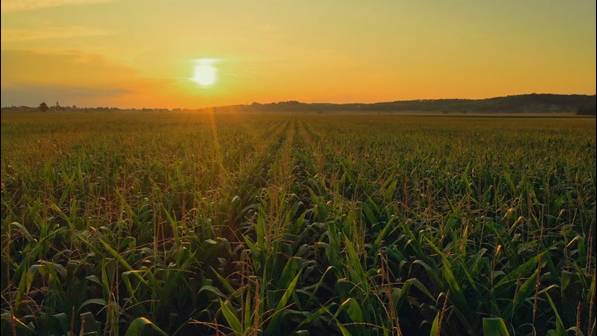 Dr. Joel Myers comments on how severe weather is resulting in low crop yields, and potentially more interest costs.