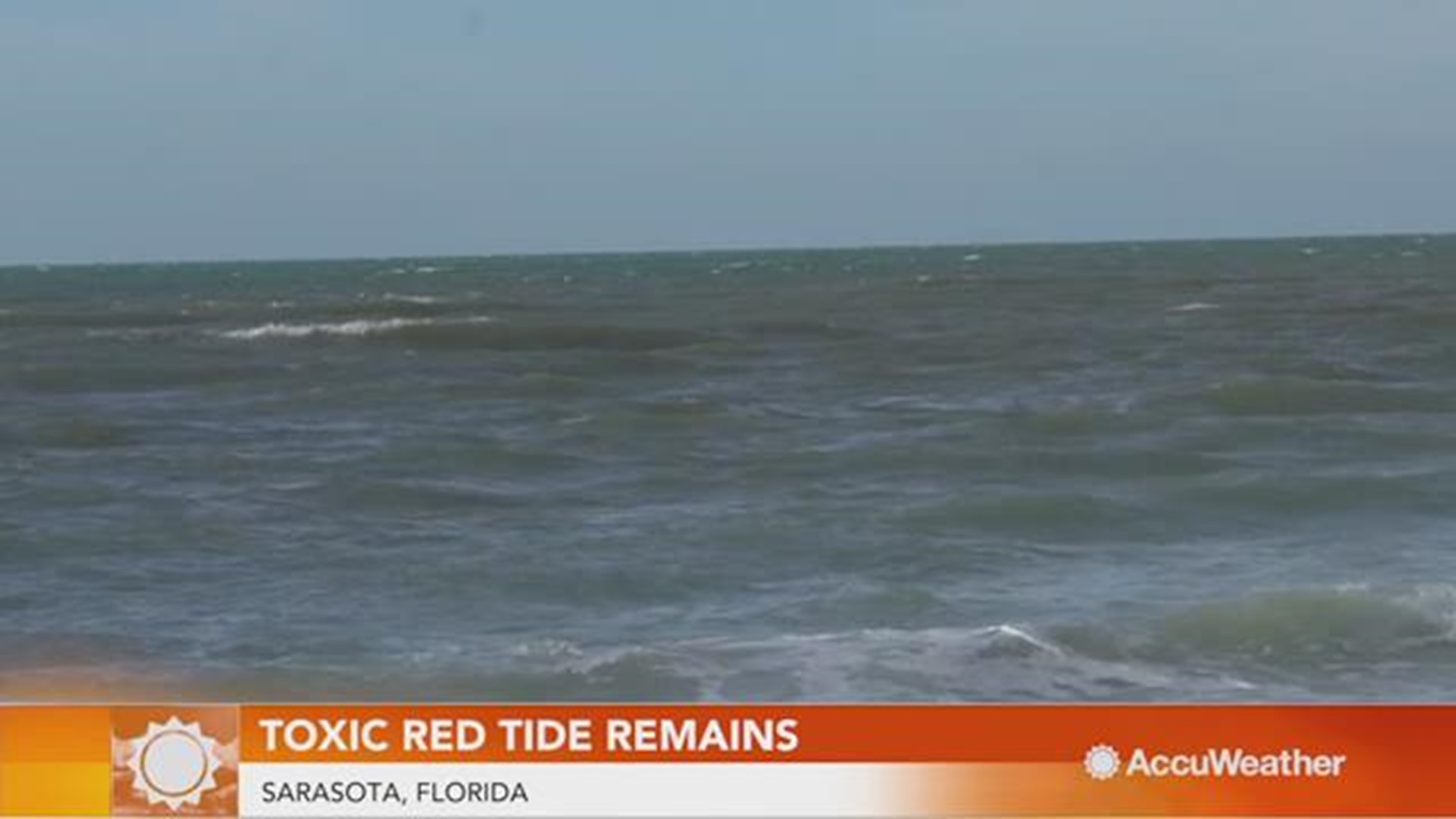 Patches of a massive red tide algae bloom remain off of Florida's Gulf Coast, especially near Sarasota, affecting beach goers, while all scientists can do is monitor.