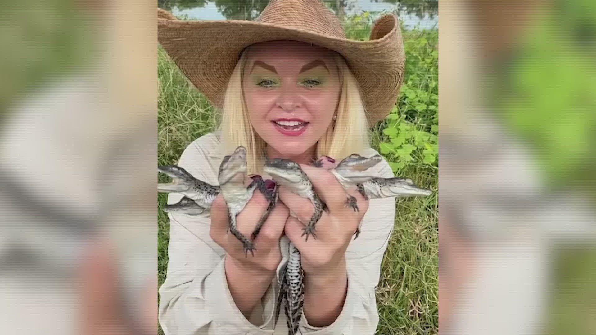This woman has formed amazing bonds with crocodiles and alligators, but here's why it'll remind you of your ex. Buzz60's Maria Mercedes Galuppo has the story.