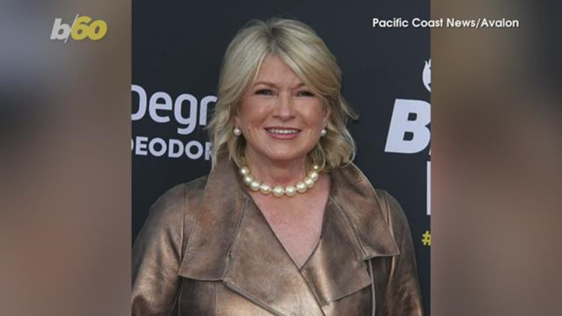 martha stewart shoe line