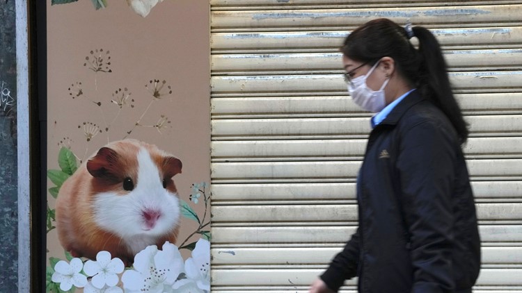 2,000 small animals to be put down in Hong Kong after hamsters test positive for COVID-19