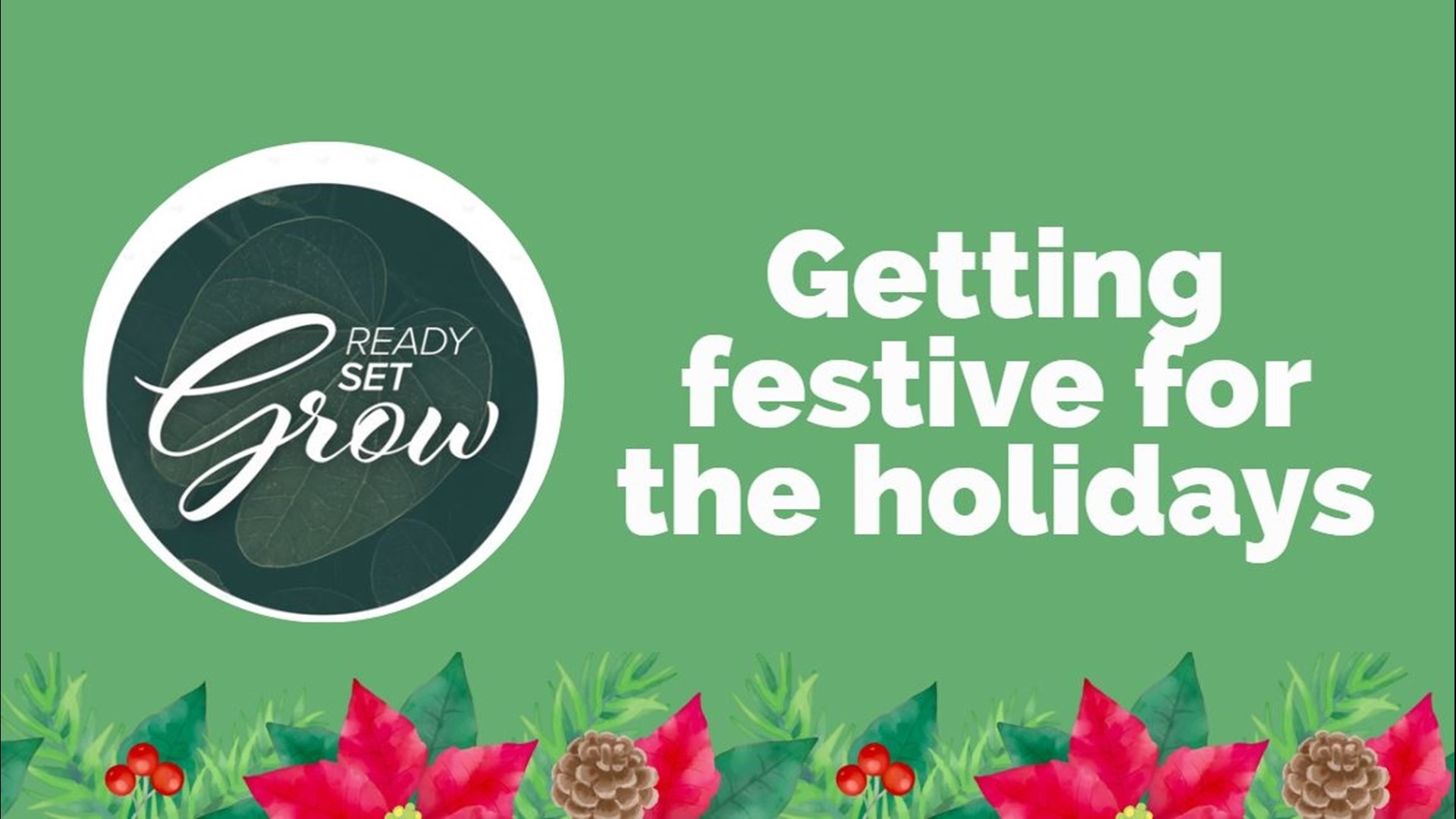 As we head inside for the winter months, so do our plants. How you can keep things festive with Christmas trees, poinsettias, holiday cacti and more.