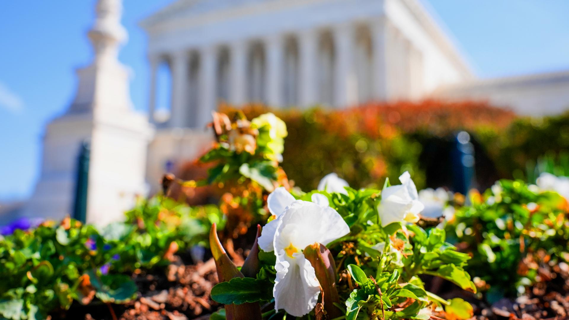 Wednesday Spring Is spring really — finally — here? What to know about Friday's vernal ...
