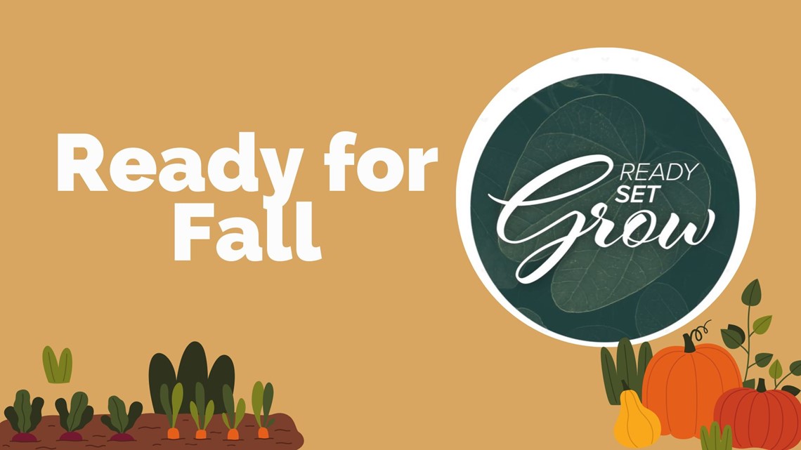 Ready Set Roots Ready, Set, Grow | Getting ready for fall | wbir.com