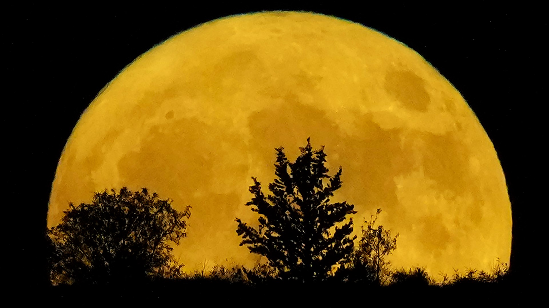 when-is-the-next-full-moon-2nd-august-supermoon-shines-this-week