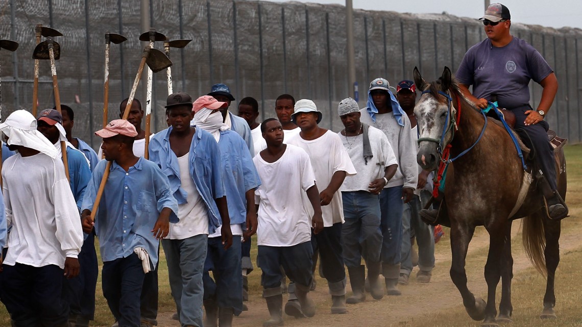 Prisoners part of hidden workforce linked to popular food brands - Vimarsana News