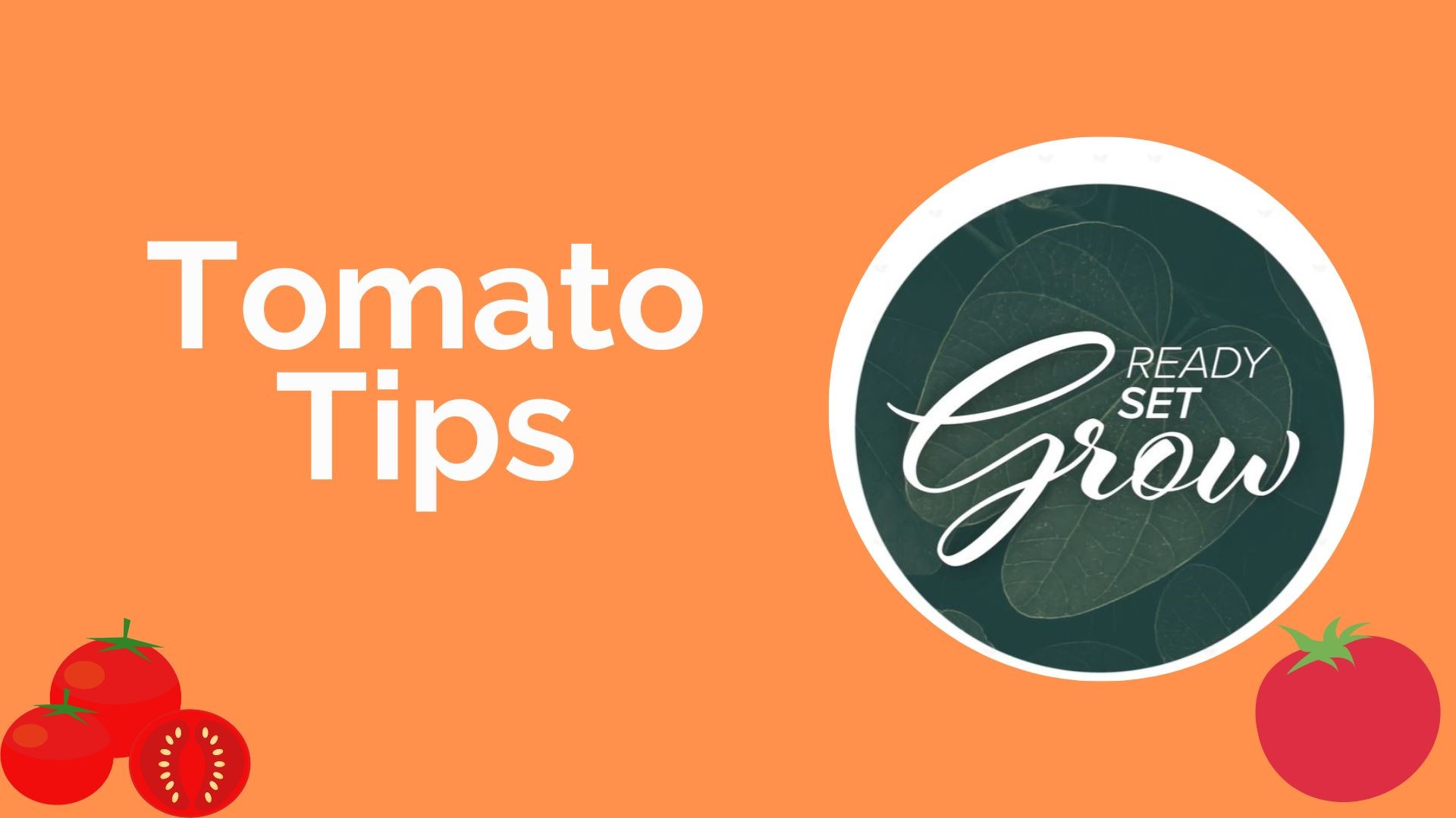 A complete guide of how to care for your tomatoes from KARE's Laura Betker and Bobby Jensen.
