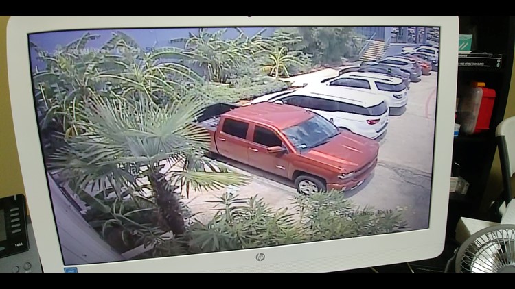 Surveillance footage shows the vehicle allegedly used to transport a shark stolen from the San Antonio Aquarium