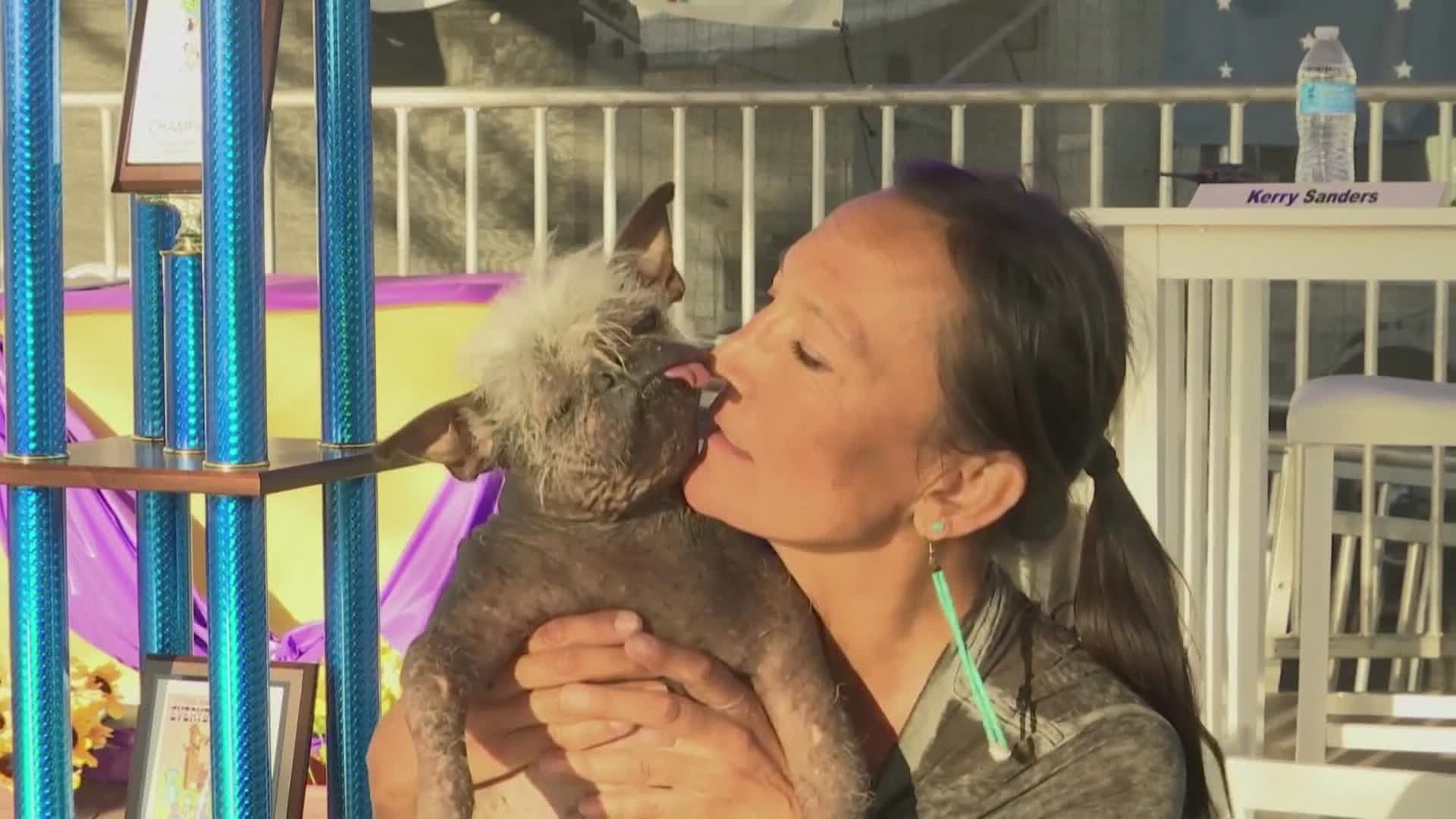 There were plenty of unique pups who got to wag their tales for judges after a two year hiatus caused by the pandemic.