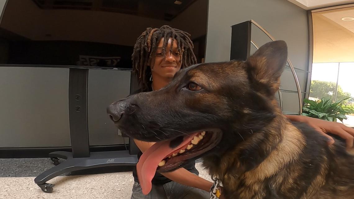 Local rescue org rallies to help SA homeless teen and dog | wbir.com