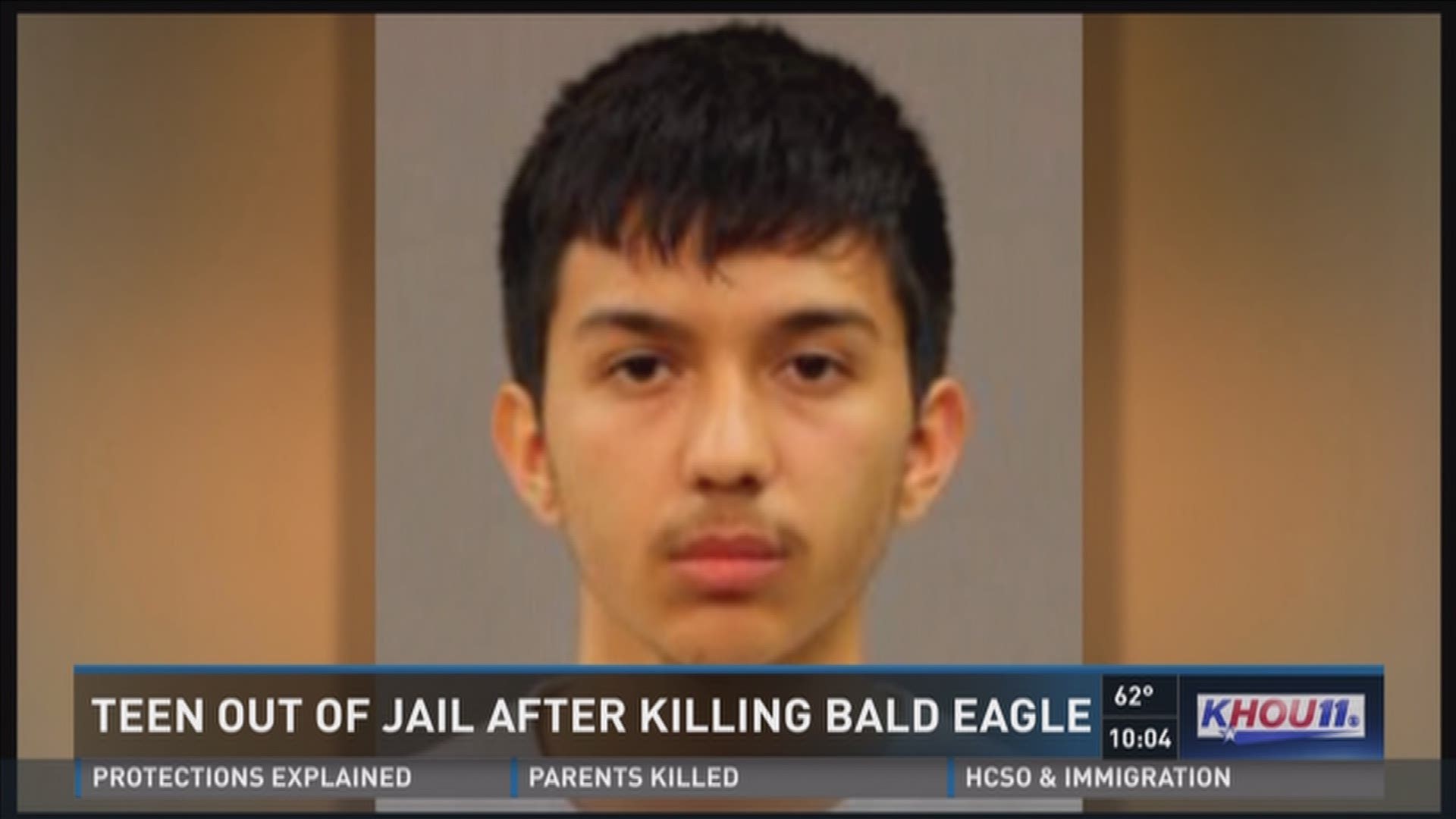 Texas teen won't face federal charges for killing bald eagle | wbir.com