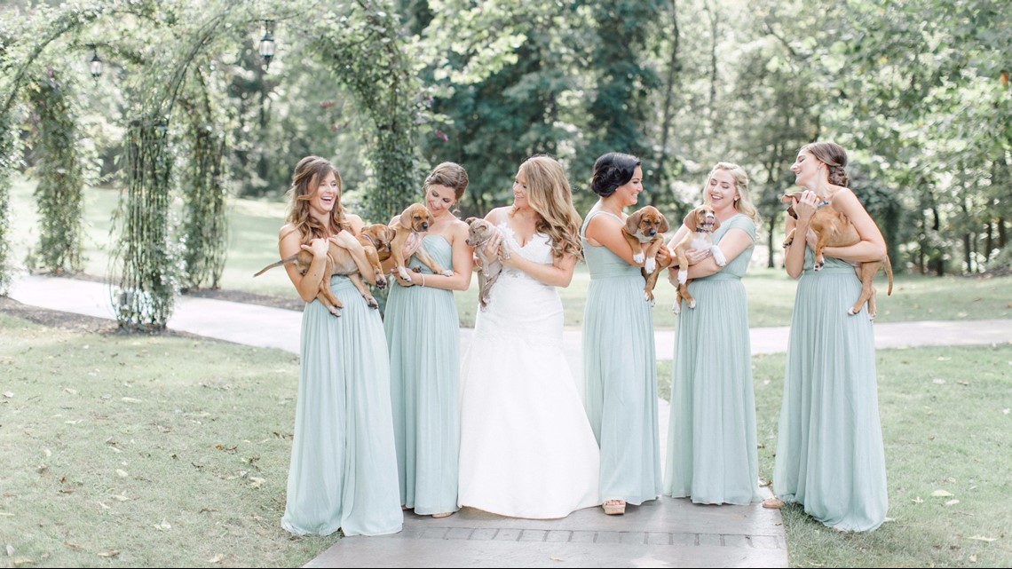 Bride holds rescue pups, not flowers, in wedding photos | wbir.com