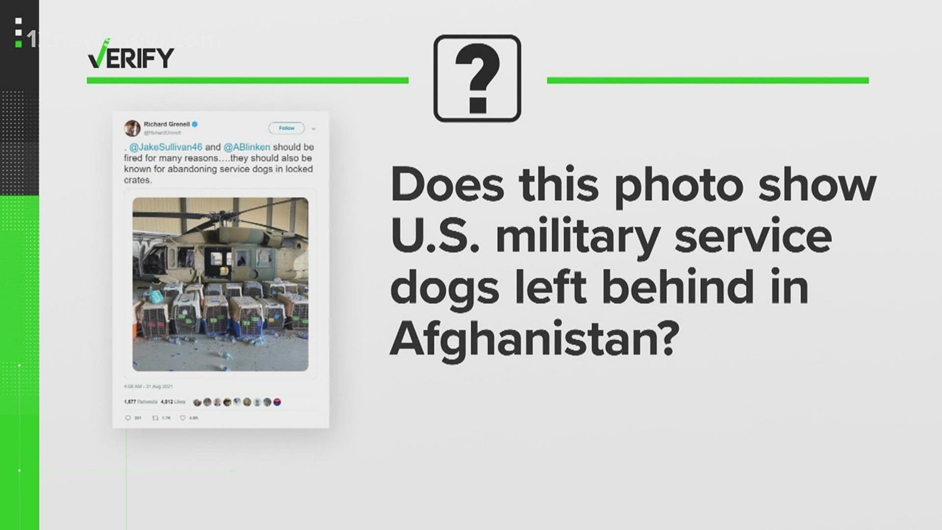 The US press secretary debunked the fact that the dogs in the viral photos were US-owned.