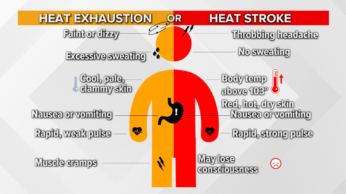 Heat exhaustion vs. heat stroke: What are the differences between these hea...