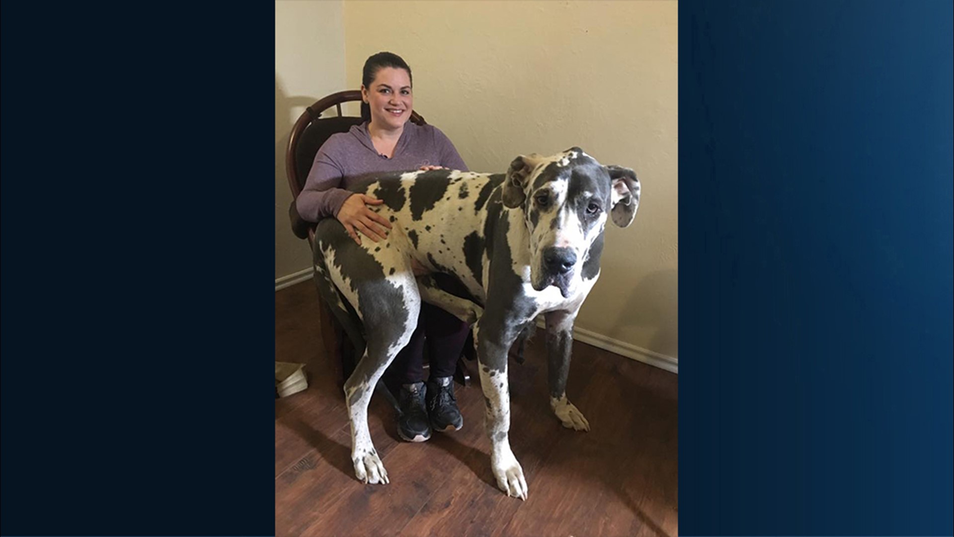 RAW VIDEO: Drone footage shows Paradise Camp Fire aftermath from above ...