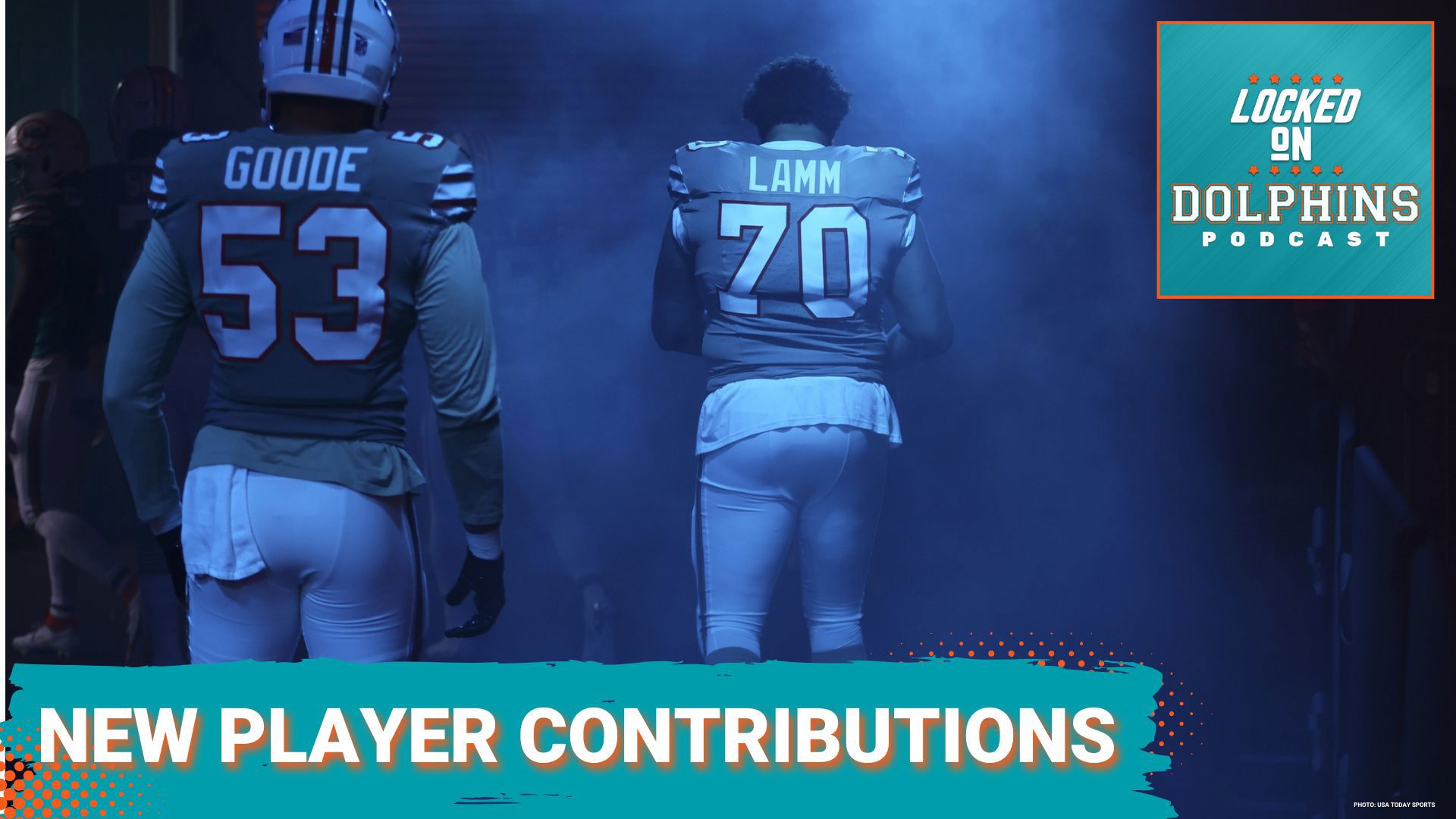 Miami Dolphins shake up roster with key additions. Will these moves propel them to playoff contention?