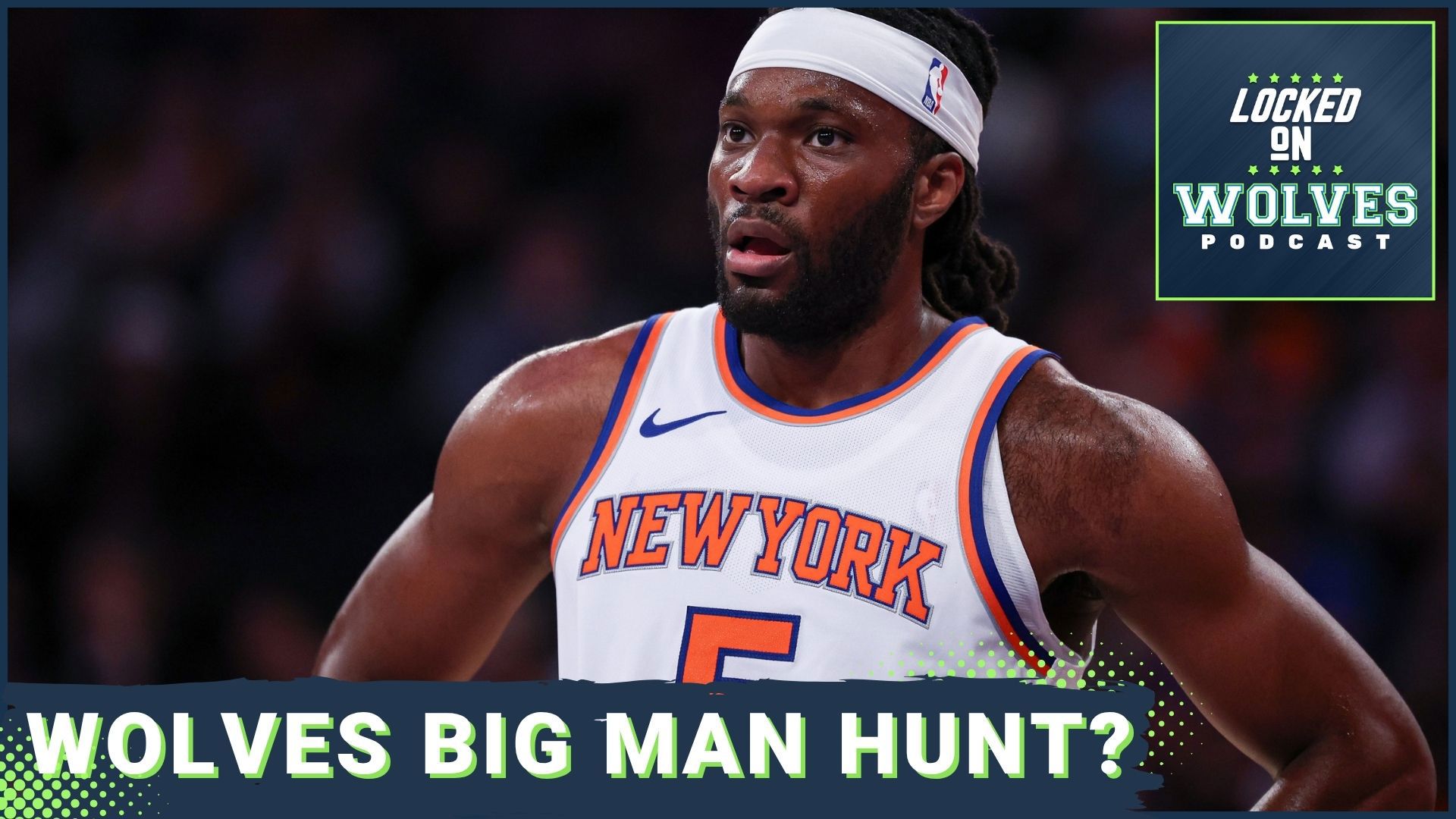 If the Minnesota Timberwolves want to fill the roster spot vacated by Luka Garza with another big, what options are available in NBA Free Agency?