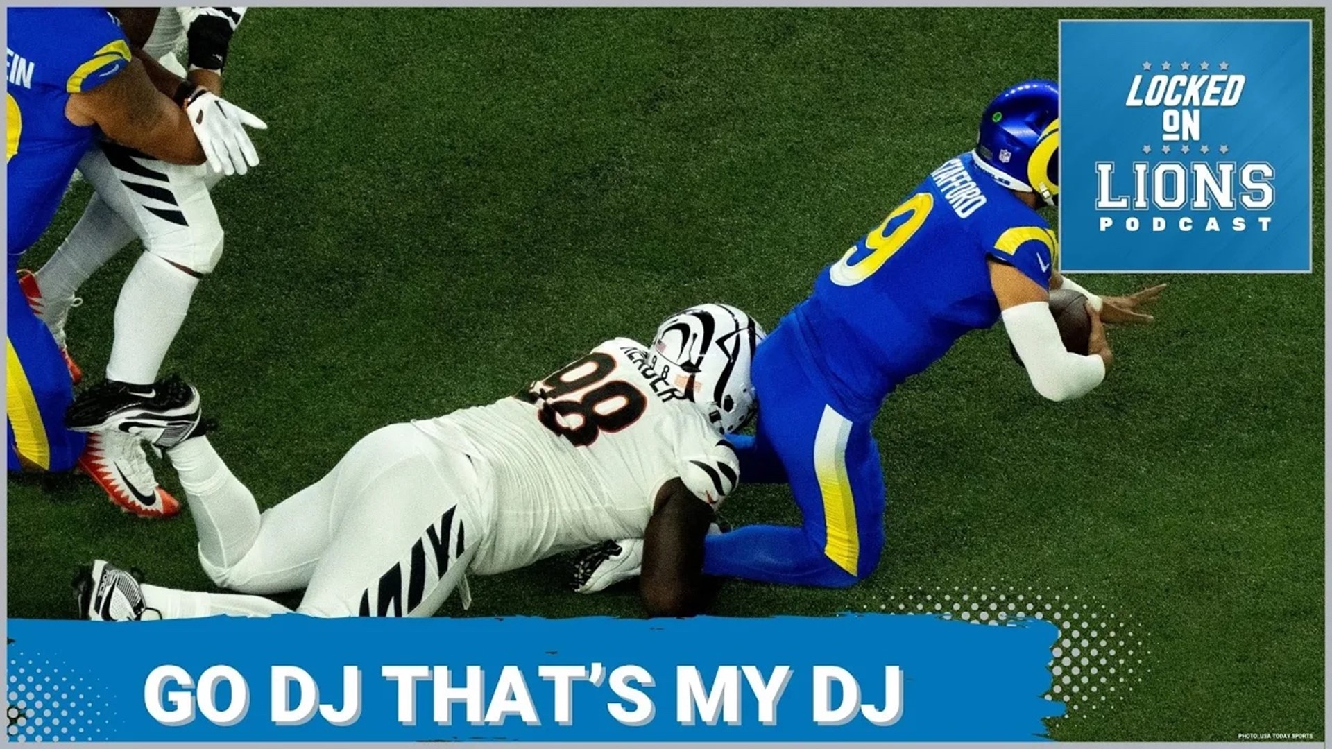DJ Reader is now a Detroit Lion. The Free Agent DT has reportedly signed a 2 year 26.5 million dollar deal to come here.