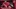 Arizona Cardinals 2023 Projected Win Total Projection Among Lowest in NFL