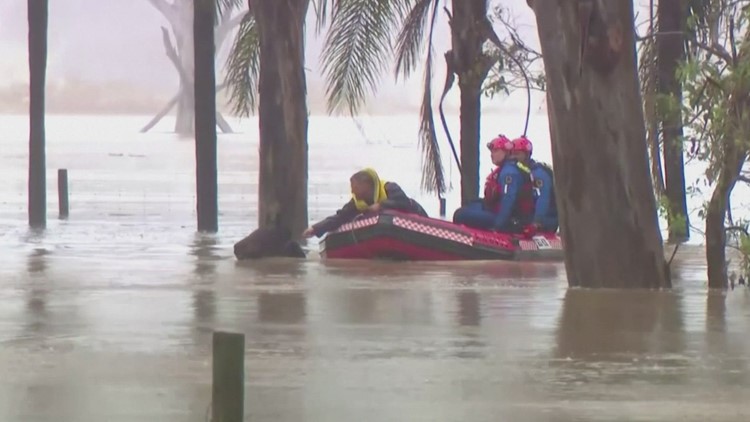 Farm Animals Rescued From Torrential Floods in Sydney