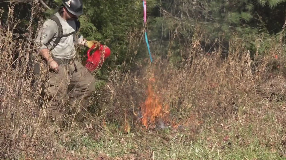 NPS: Prescribed burns planned for Cades Cove - Vimarsana News