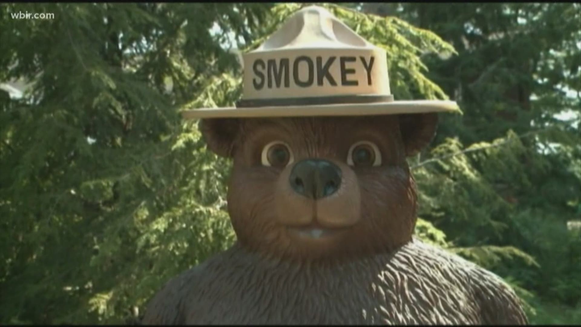 Today- a National Parks icon is celebrating a big birthday. For 75 years- Smokey Bear has taught the country about protecting the forest with his slogan: "Only you can prevent wildfires."
