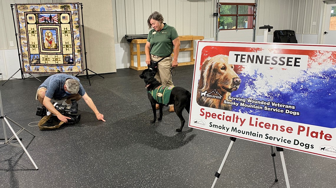 ipswich ma service dog project volunteers