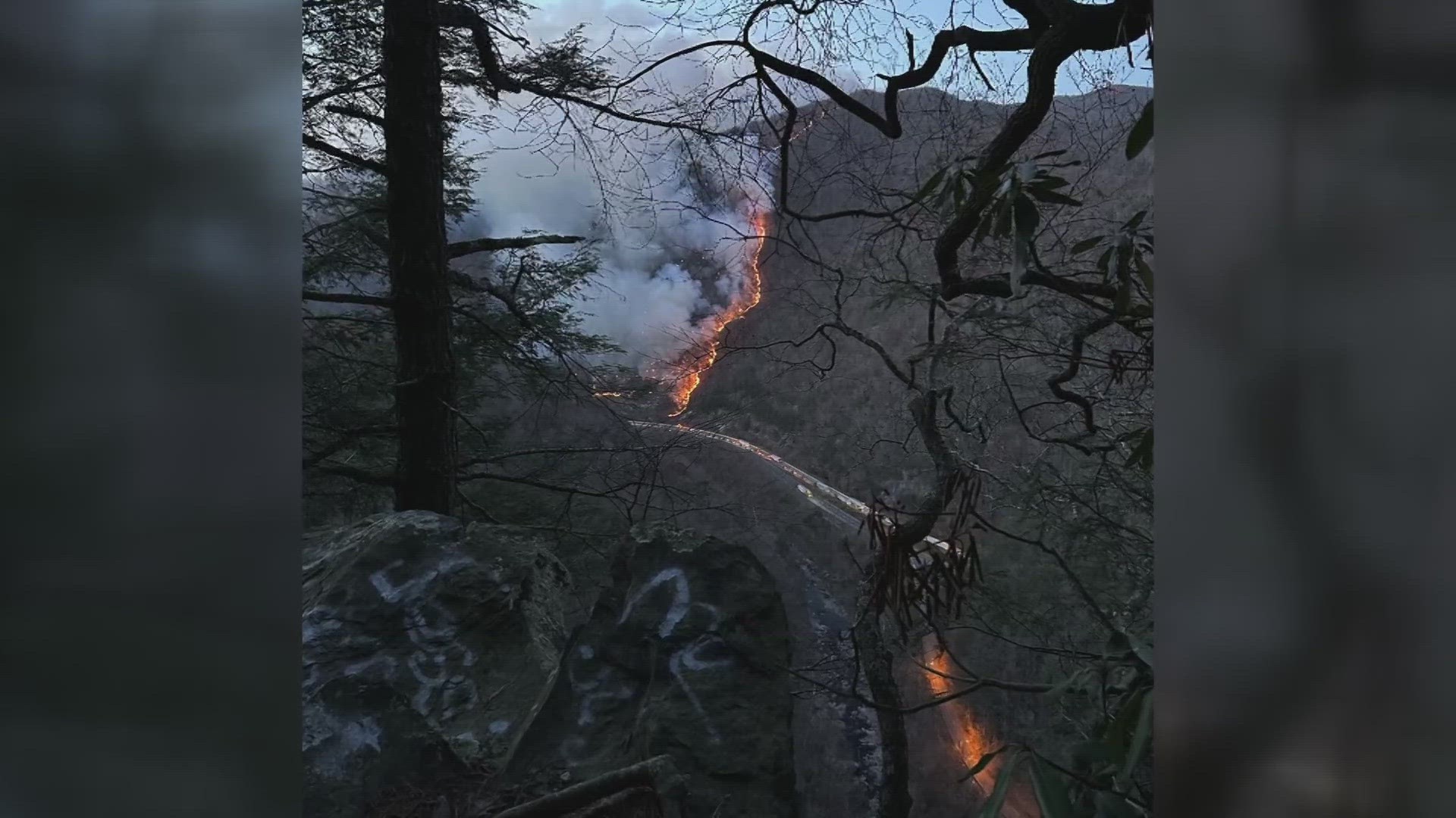 The North Carolina Forest Service said the Black Bear Fire was located along I-40 roughly 3 miles from Cocke County, Tennessee.