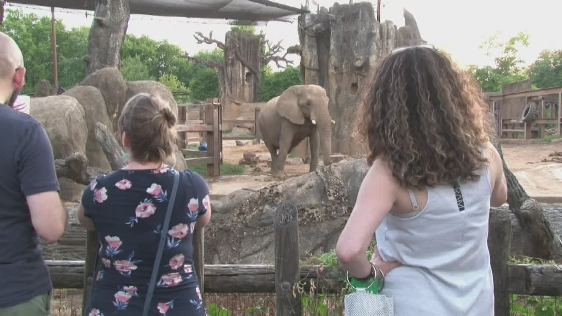 Zoo Knoxville is hosting its Annual Feast with the Beasts Event.