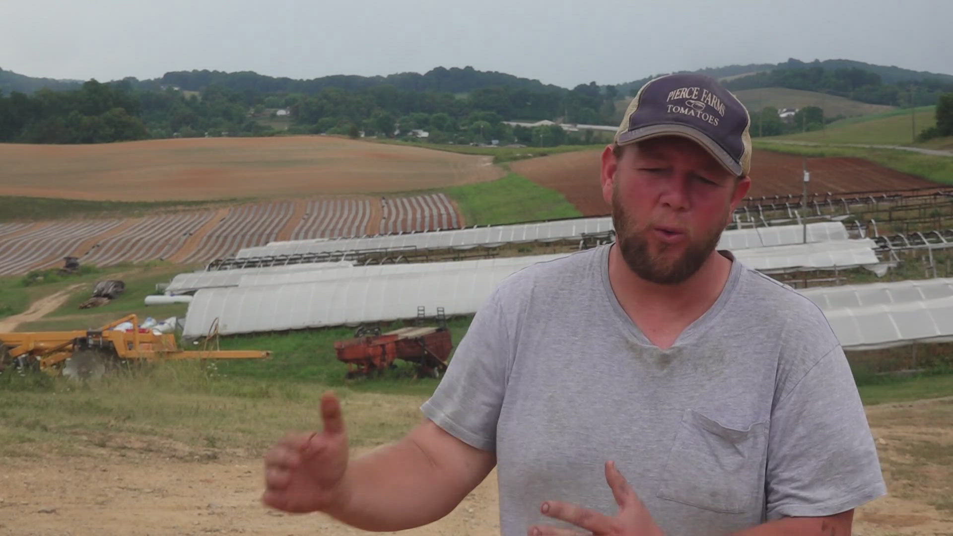 Grainger Co. farmer provides update on tomato harvest 2 months after ...