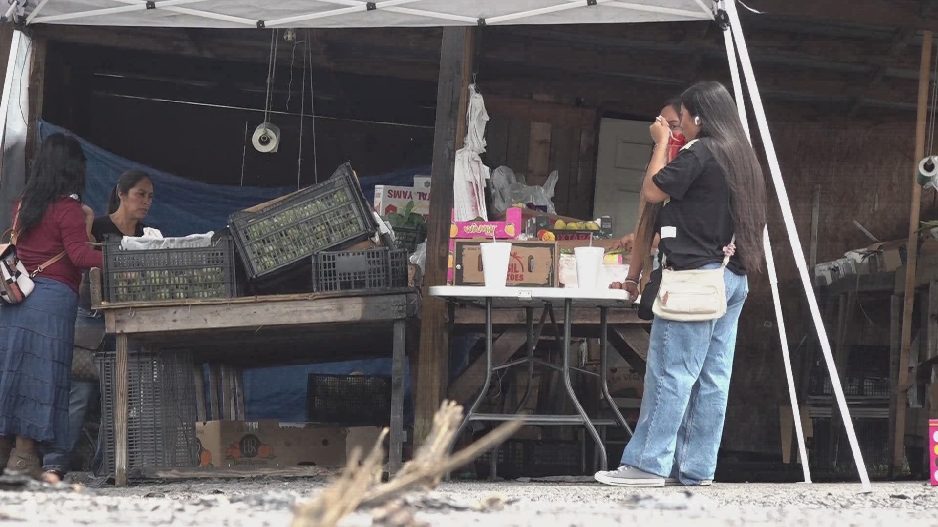 A fire swept through the flea market in early June. Around a month later, organizers of the flea market said it would reopen.