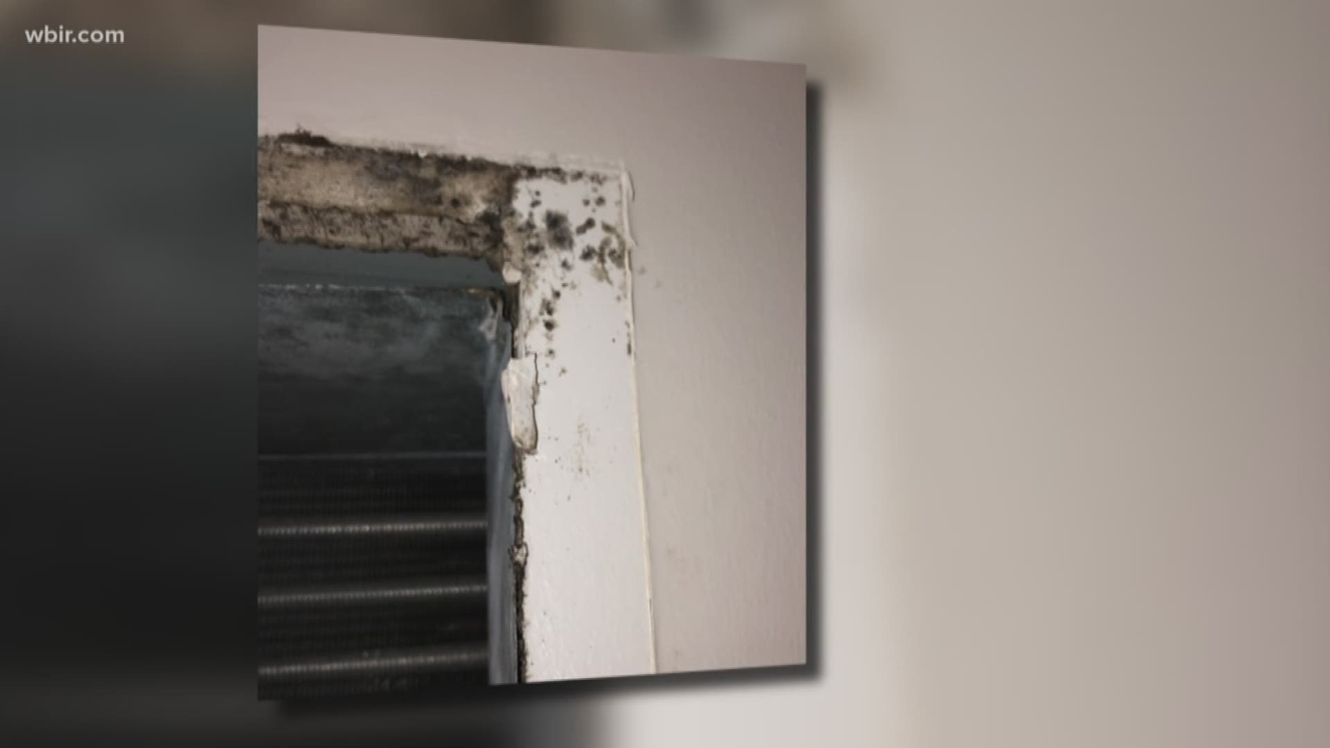 The university has been dealing with mold issues in several dorms, though only Laurel Hall was bad enough to move students out.