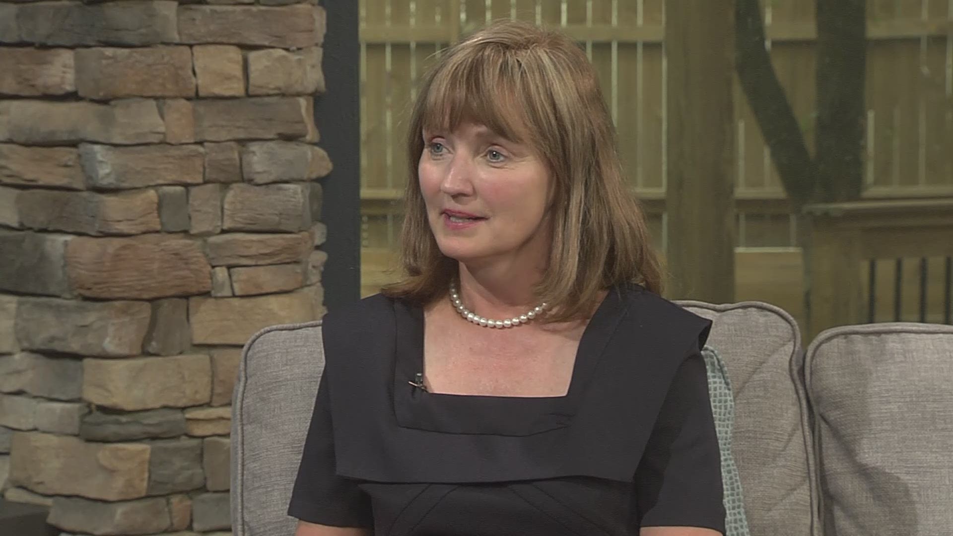 Speaker of the Tennessee House of Representatives Beth Harwell discusses her run for governor.