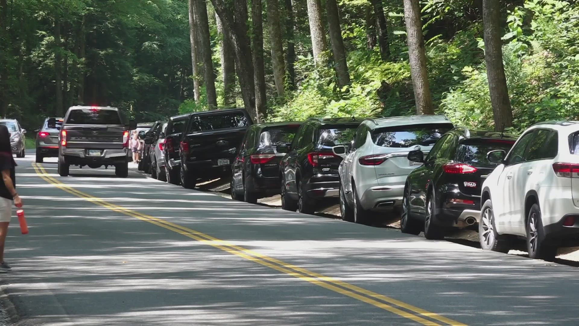 The National Park Service has so far endorsed six shuttle services visitors can opt for when coming to the Great Smoky Mountains.