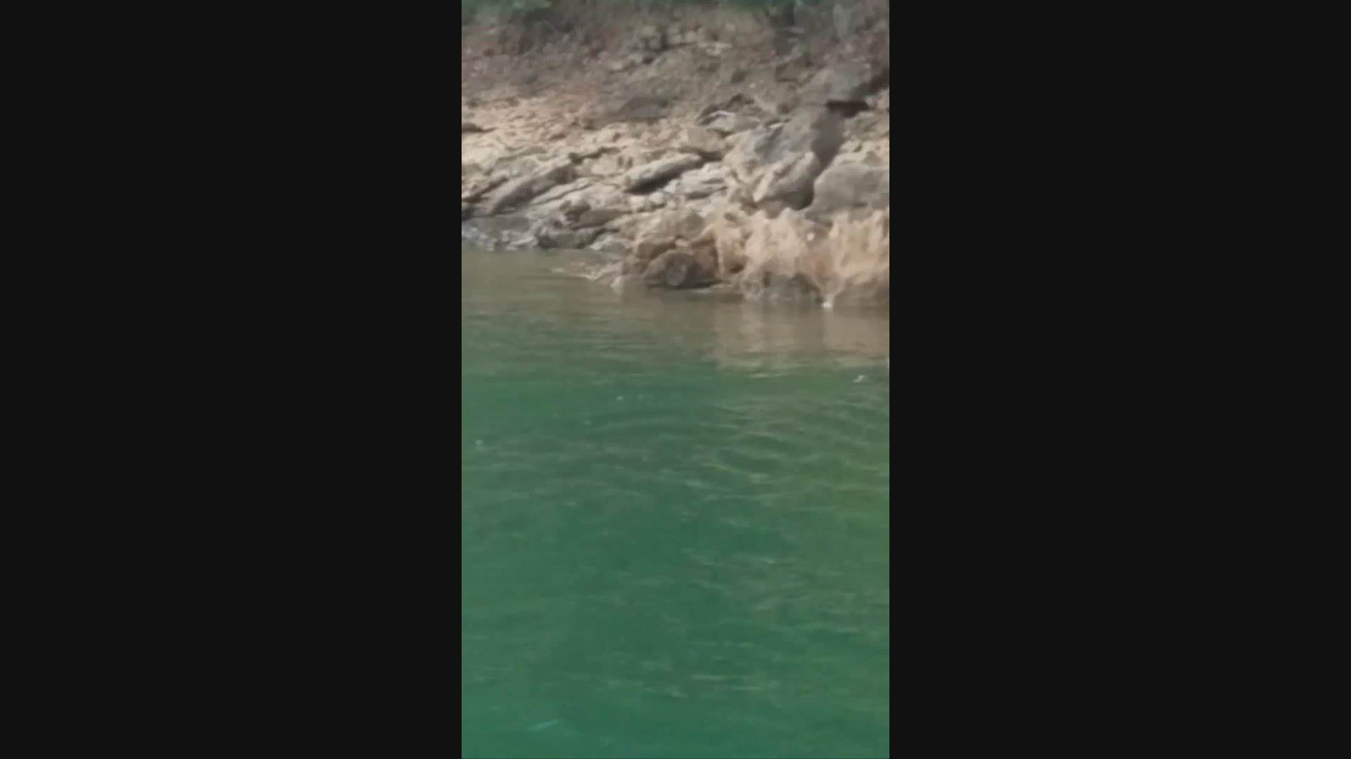 The Morrow family was out on the water for a rare October lake day in East Tennessee when they spotted the wild cat swimming across the lake. Video courtesy: Jodi Morrow
