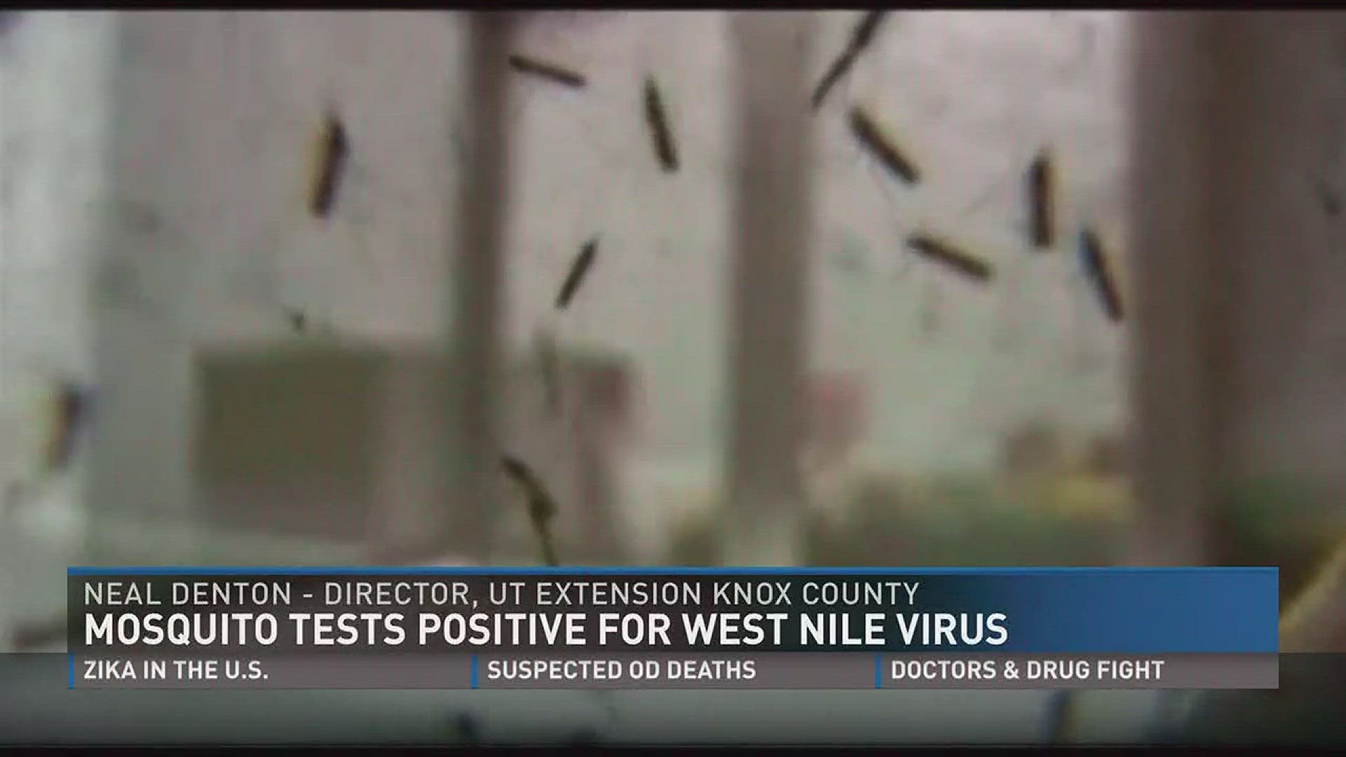 July 25, 2017: For the first time this year, a mosquito in the Knoxville area tested positive for the West Nile Virus.