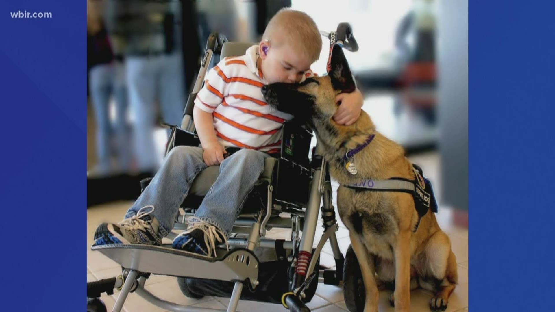 A dog that was hours away from being euthanized was rescued to become a service dog for a special little boy. Dec. 4, 2019-4pm.