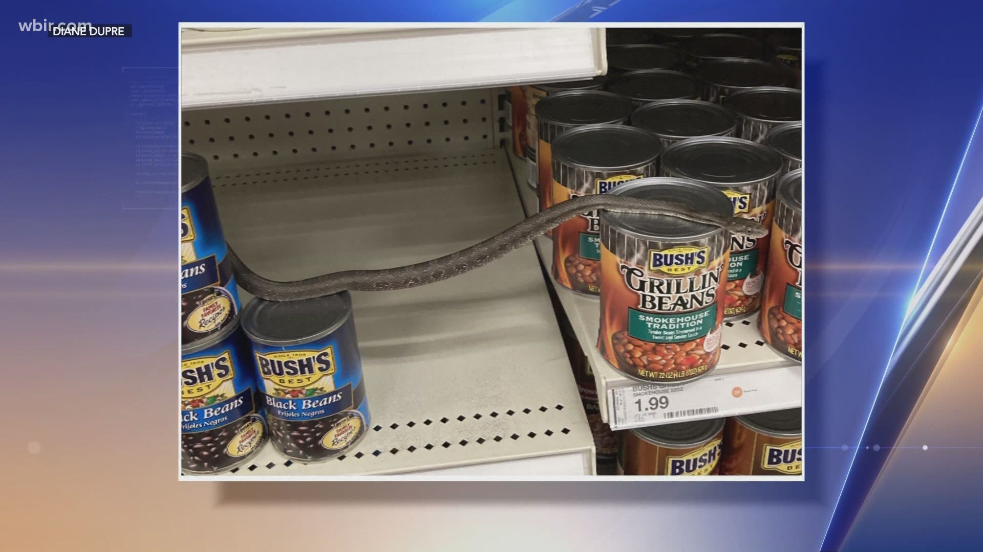 The customer found a slithering surprise while reaching for some baked beans.