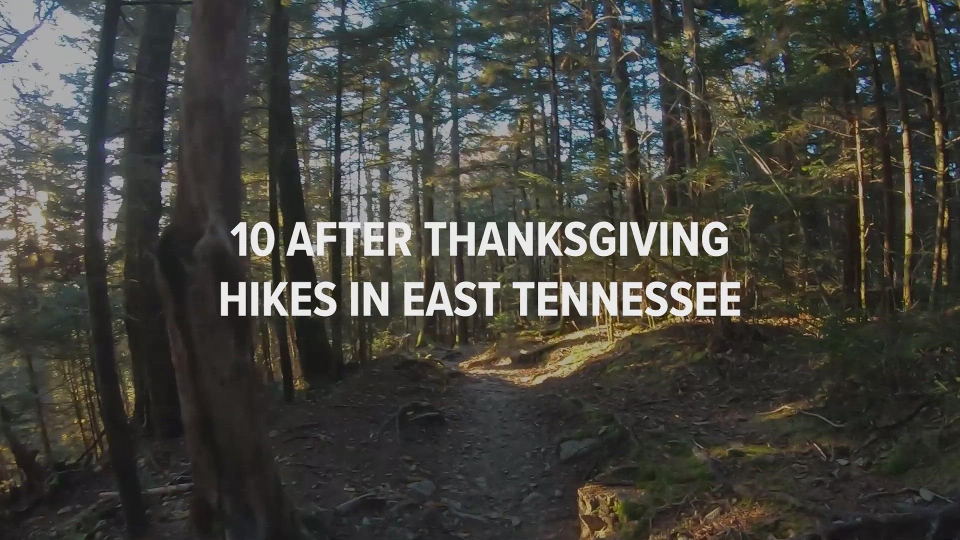 Here are 10 trails and treks you can try with the whole family in the Great Smoky Mountains and all over East Tennessee.