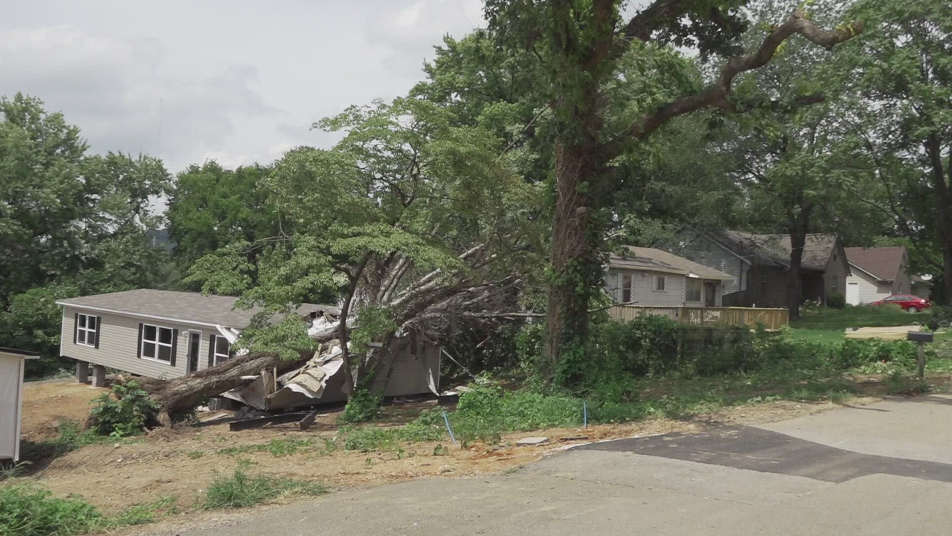 If you need help clearing storm debris, you can call the Home Clean-up Helpline. All services are free.