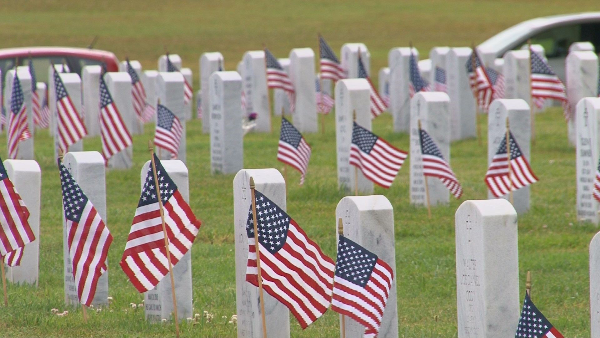 Veterans day free dinners