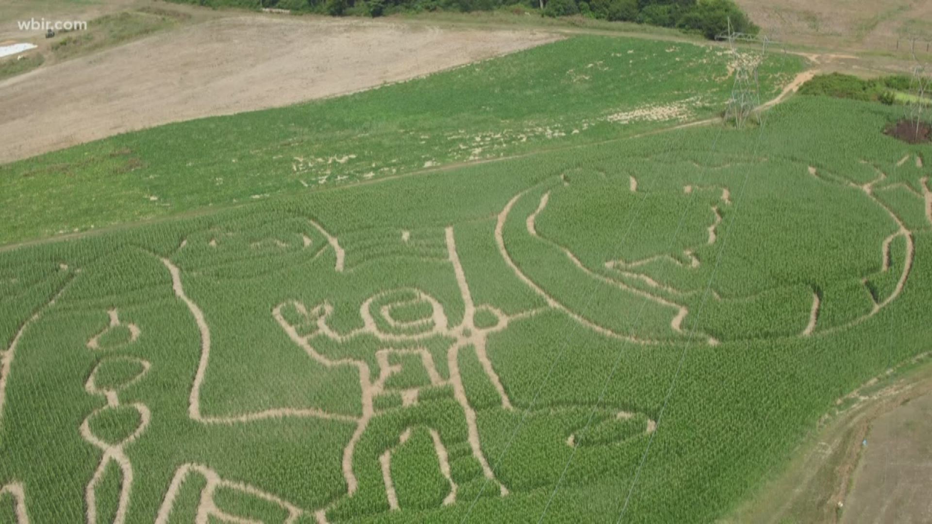 A local farm is honoring the 50th anniversary of the moon landing with its corn maze. A spokesperson for Ballinger Farm says its "crazy maze" helps bring in some extra money.