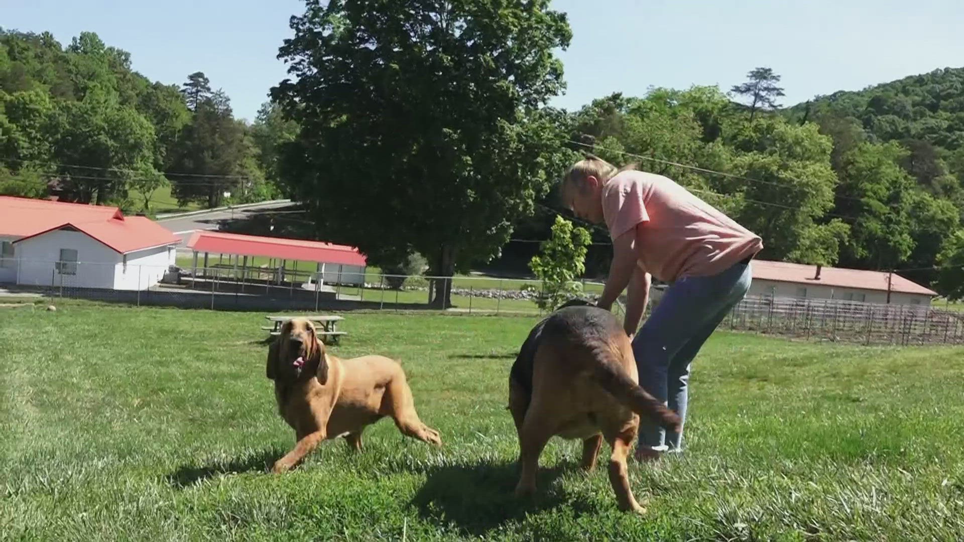 The East Tennessee Bloodhound Rescue said their HVAC unit had been broken for months before they were able to get a new one ahead of winter.